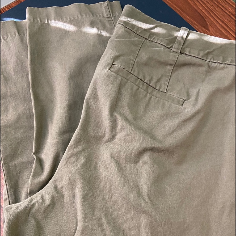 Lane Bryant Allie ankle pants
